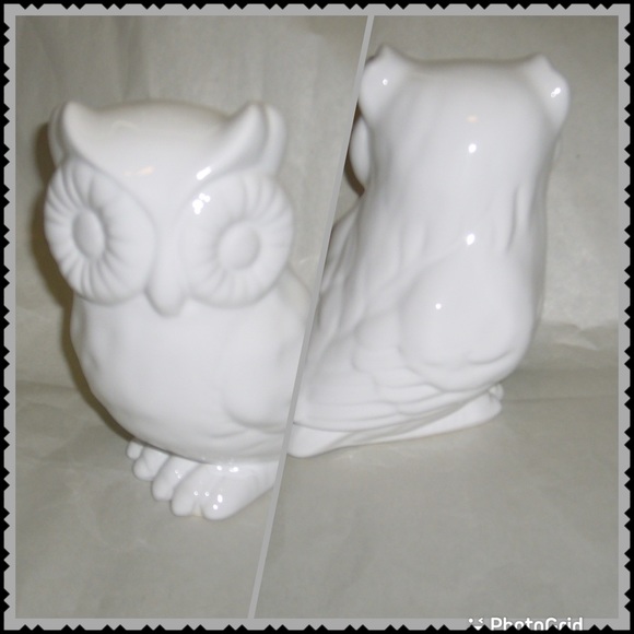💥💥Special Ceramic White Decorative Owl - Picture 2 of 5
